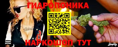 молекула духа Гусиноозёрск