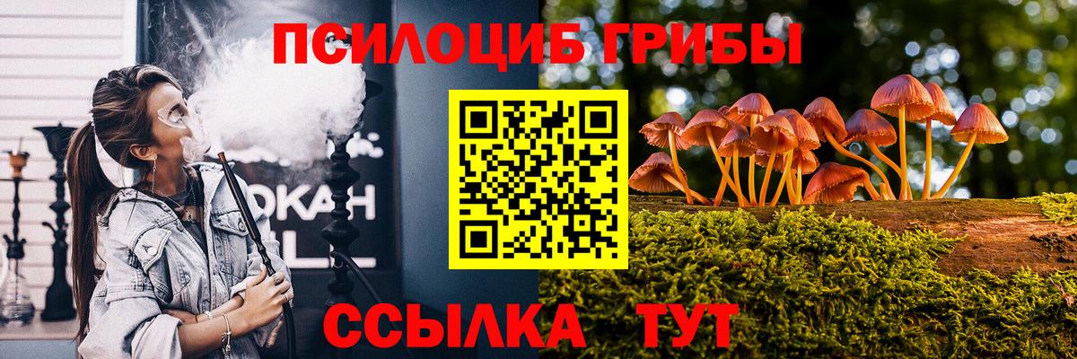 Псилоцибиновые грибы Psilocybine cubensis Протвино
