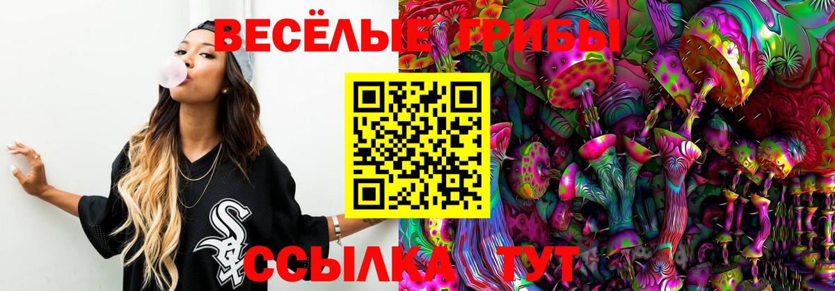 Галлюциногенные грибы Magic Shrooms  Галлюциногенные грибы прущие грибы  Протвино  где купить   Вход с VPN 